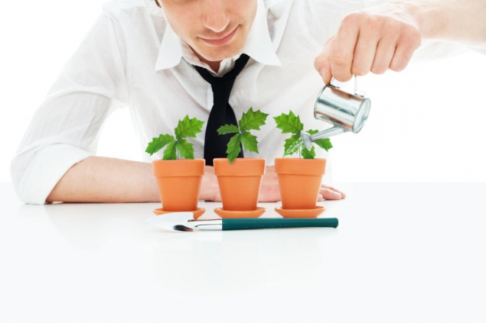 fixed investment financing