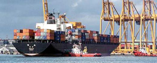 introduction of import quota