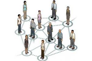 organizational and functional structure of the organization