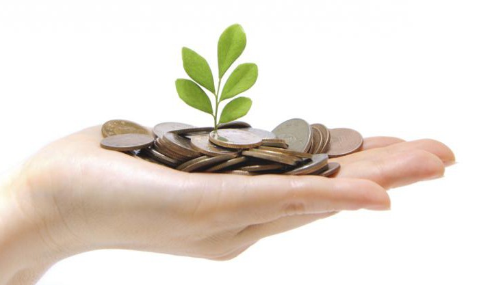 when ooo fiscal year ends