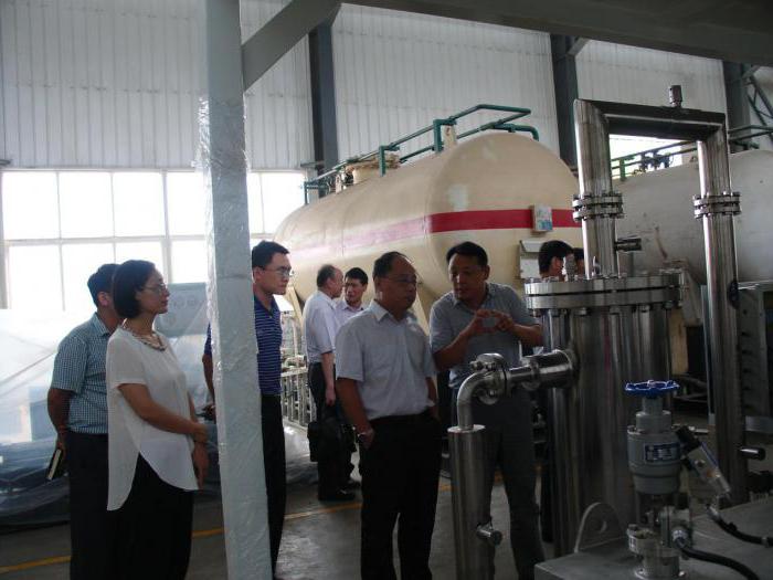 object of intellectual investment