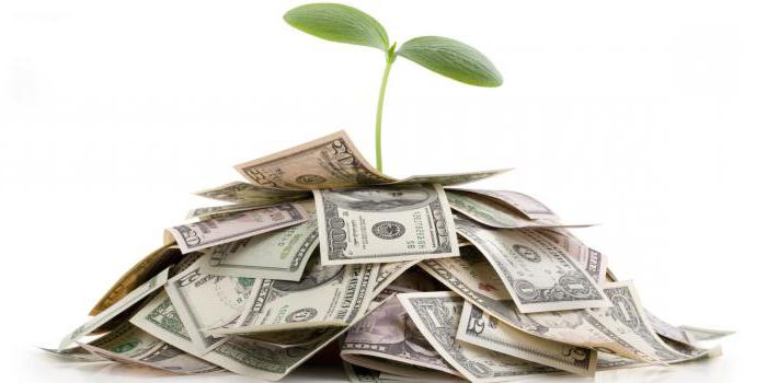 social investment agency