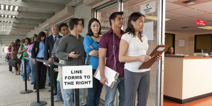 employment service jobs