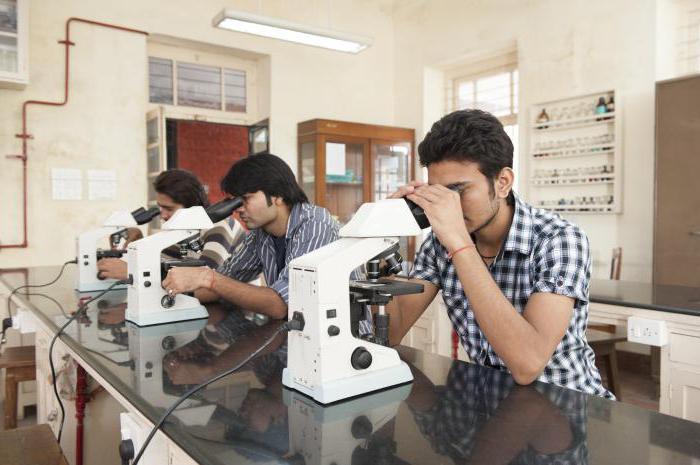 level of education in india