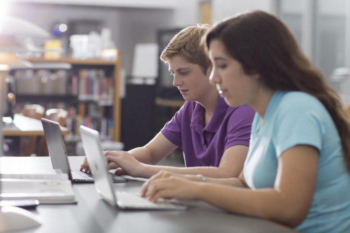 business project for schoolchildren example