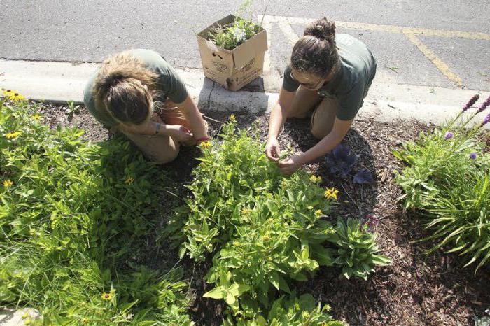 types of business for students
