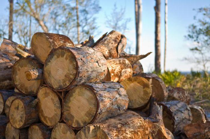 wood business reviews