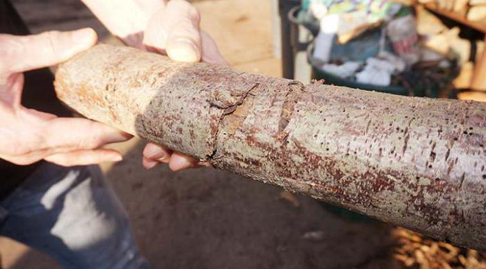 business plan firewood