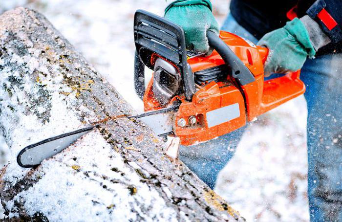 business ideas firewood