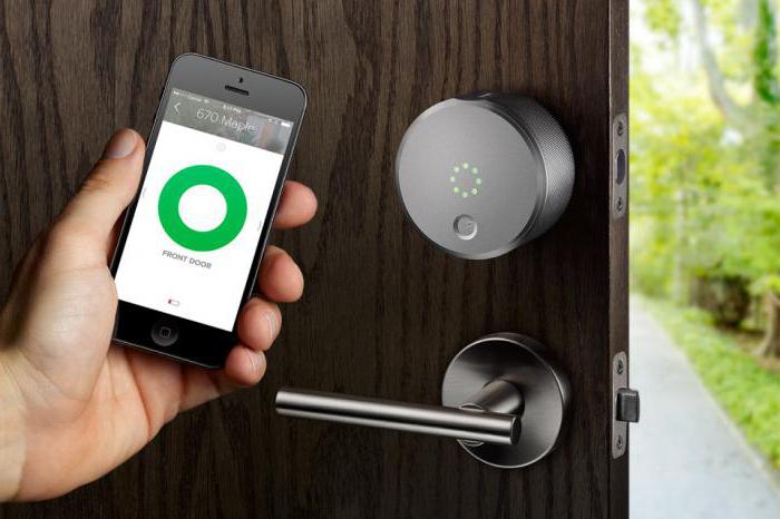 non-standard business ideas