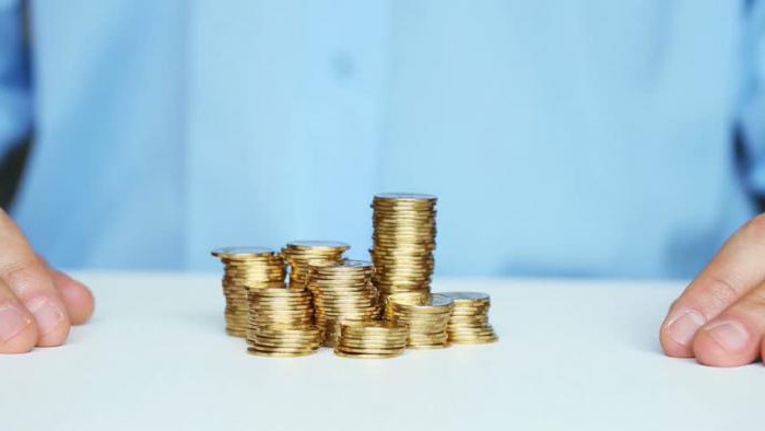 essence of the financial pyramid