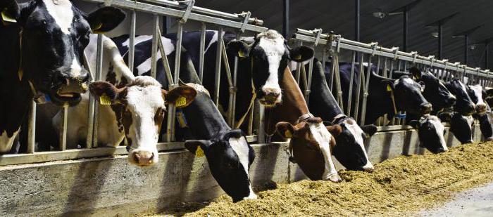 grant for agricultural development