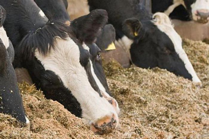 receiving a grant for agricultural development