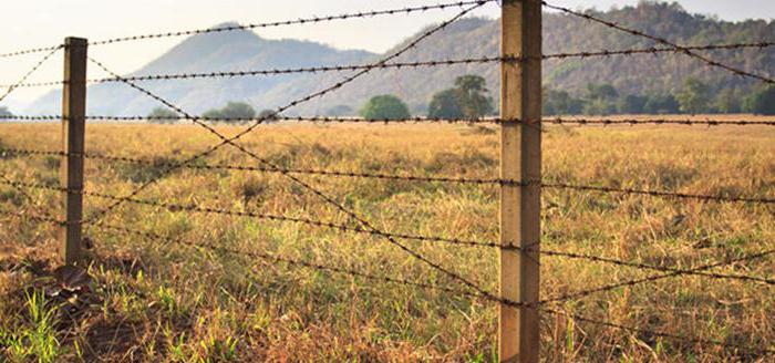 ownership forms of enterprises in the republic of Belarus