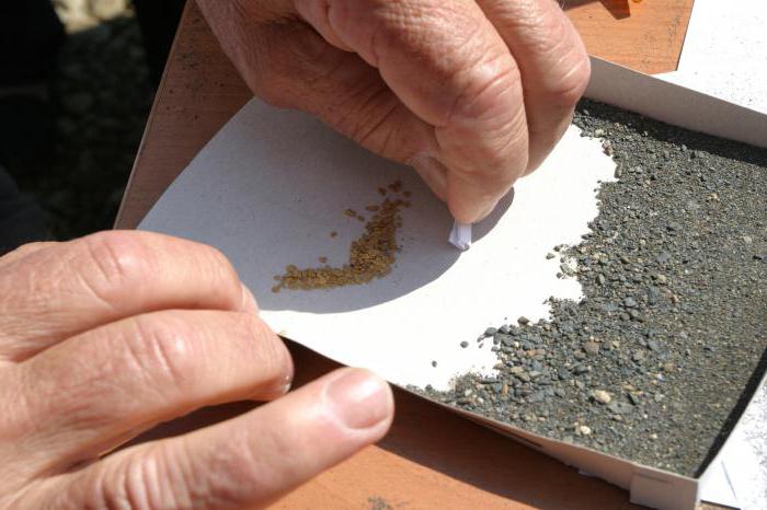 gold mining in Russia by individuals 2016