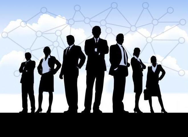 independent audit financial control