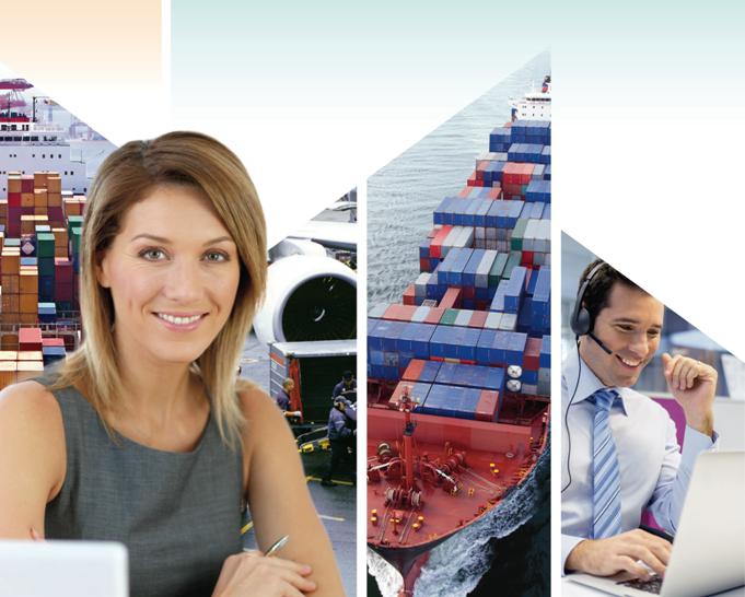 activities of the customs representative