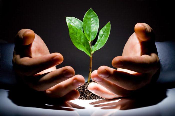 private equity funds in Russia list