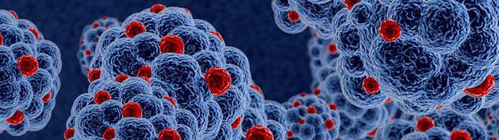 epidemiological certificate