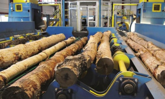 do-it-yourself woodworking