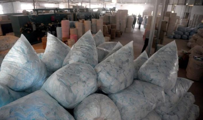 production of tuberous laying for eggs