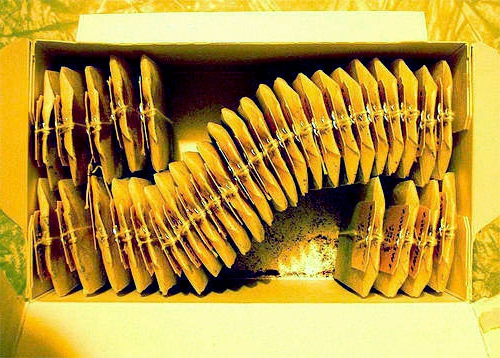 tea bagging equipment