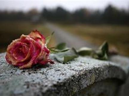 how to care for the grave in winter