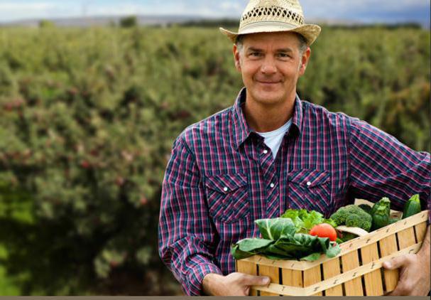  business ideas at home for men