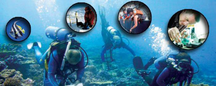 types of professions