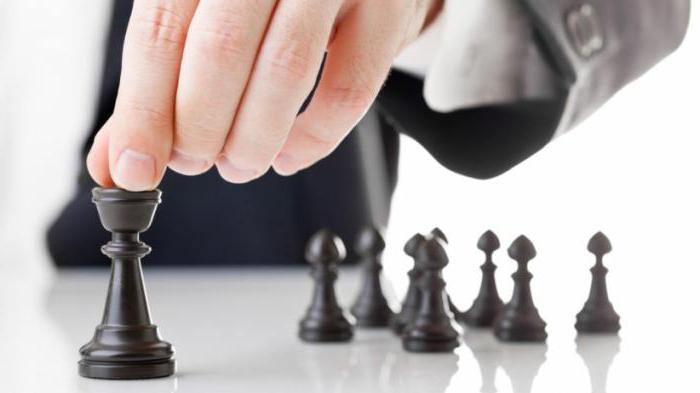 development of a business plan for diversification of the enterprise