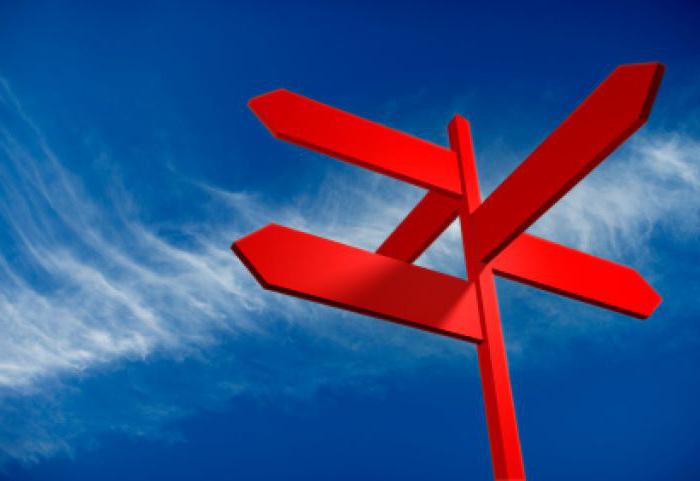 business diversification examples