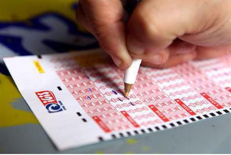 stories of people who won the lottery