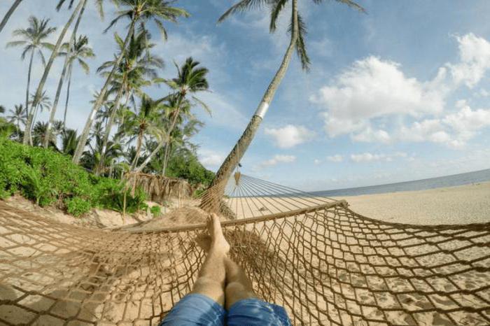 writing articles for money