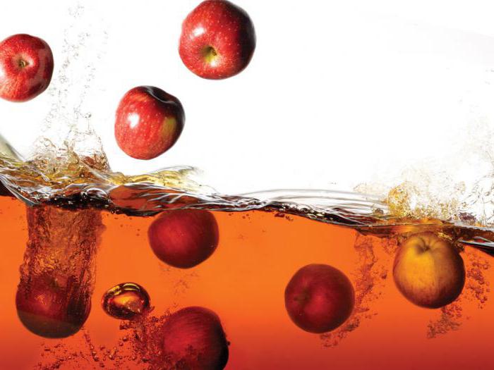 cider making equipment