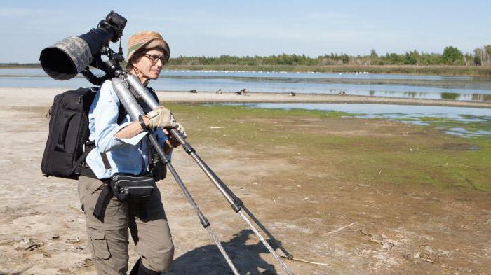 straightening prisms