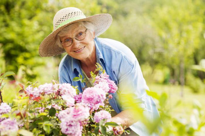 interest club for seniors