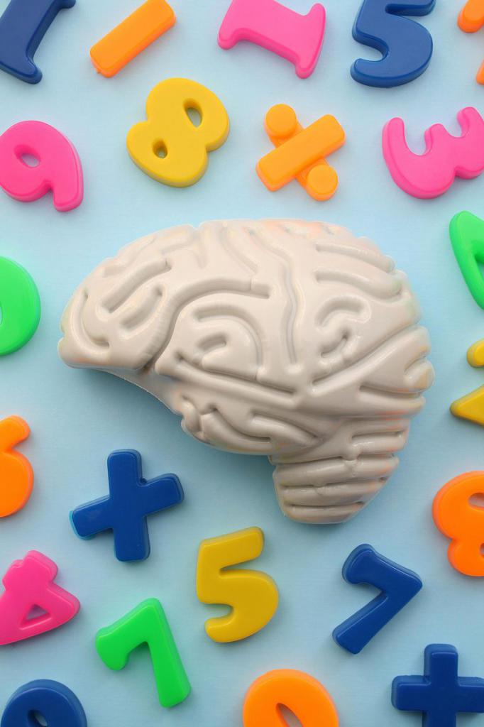 numbers and brain