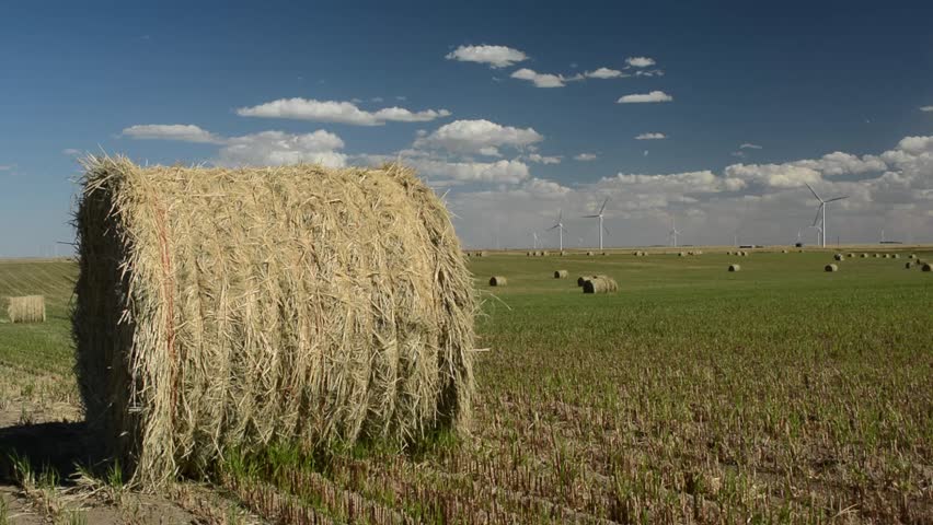 Harvesting roughage