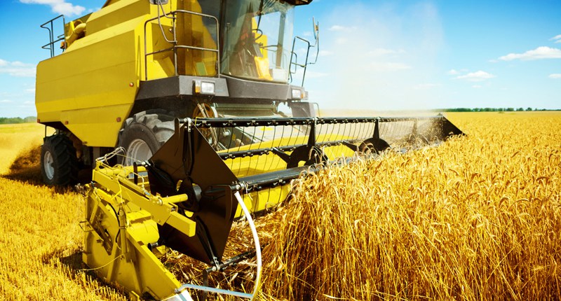 Coarse and concentrated feed