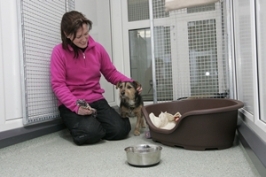 how to open a hotel for animals