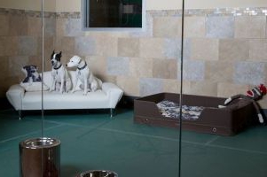 pet hotel business plan