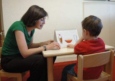 Business plan for a speech therapy cabinet