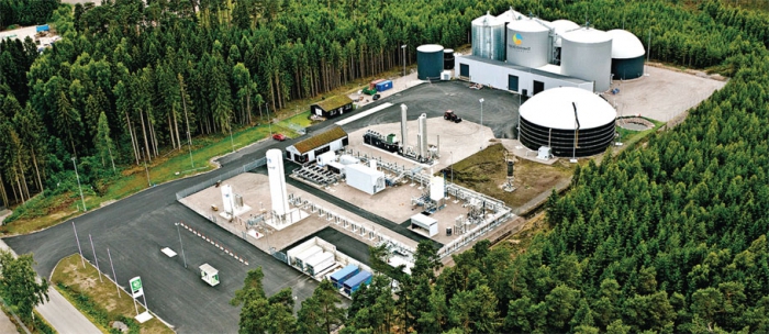 Plant for the production of biogas