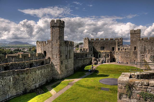 reason for denial of work visa