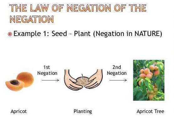 law negation negation life examples