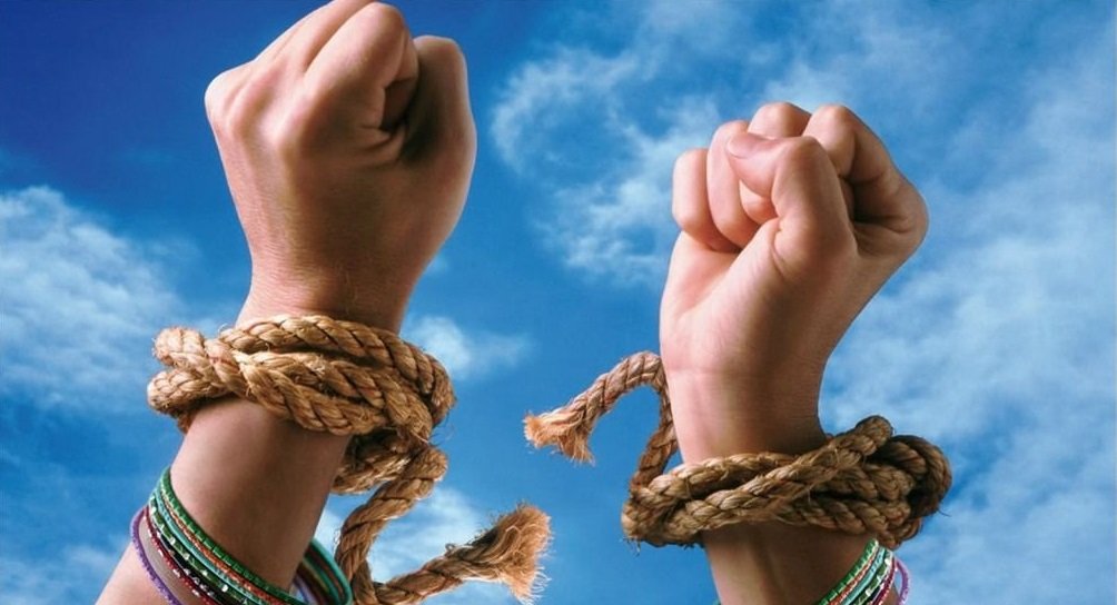 Is bankruptcy profitable for the developer