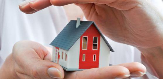 relationship insurer insurer