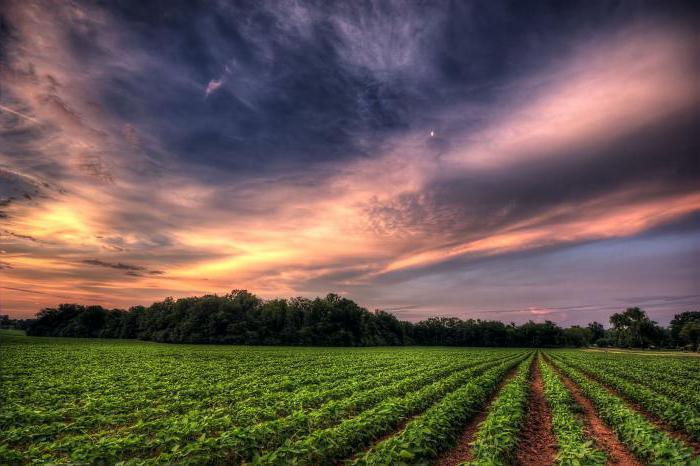 Relative and absolute limited resources