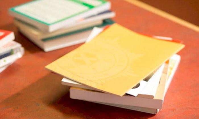 state standards of social services