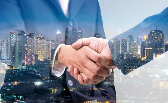 forced liquidation of a legal entity by a tax authority